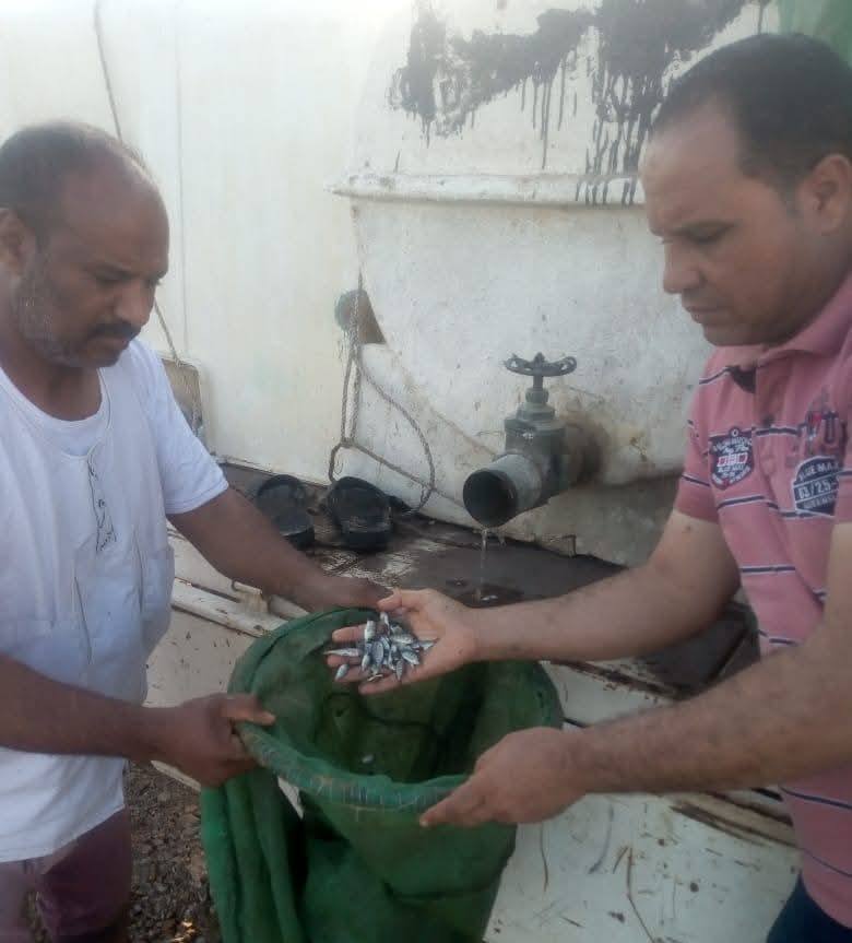 "تنمية البحيرات" يدعم بحيرة باريس بالوادي الجديد بمليون زريعة من أسماك البلطي النيلي