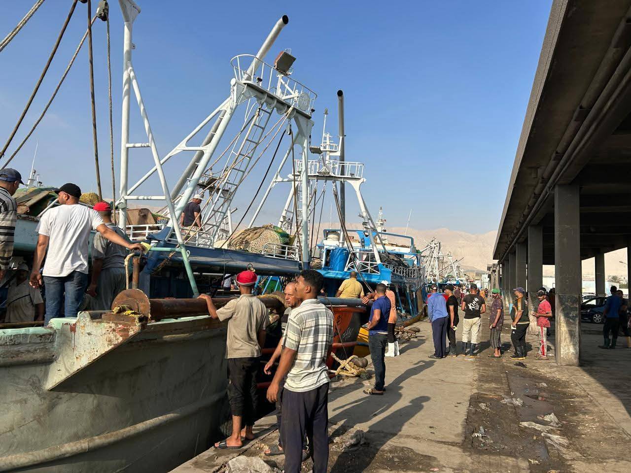 دعما للصيادين.. "تنمية البحيرات" يطلق إشارة السروح لحرفتي الجر و السنار بخليج السويس