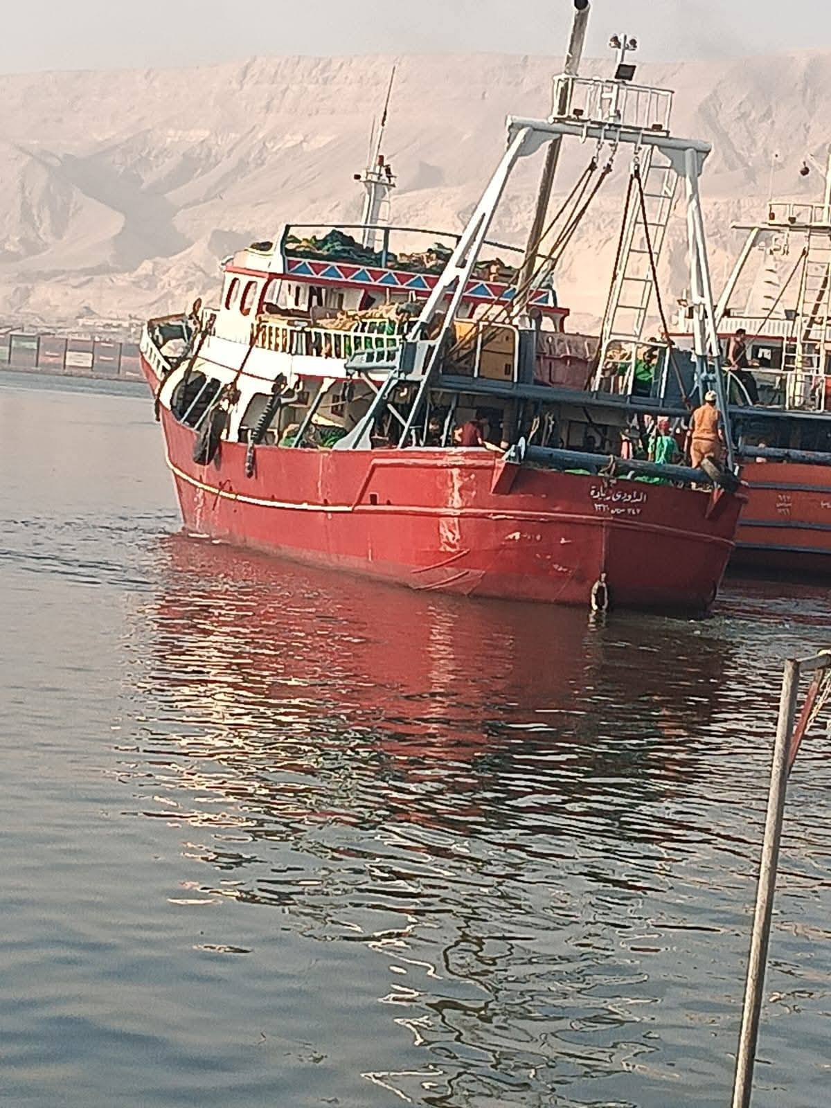 دعما للصيادين.. "تنمية البحيرات" يطلق إشارة السروح لحرفتي الجر و السنار بخليج السويس