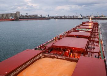 تراجع جماعي للذرة