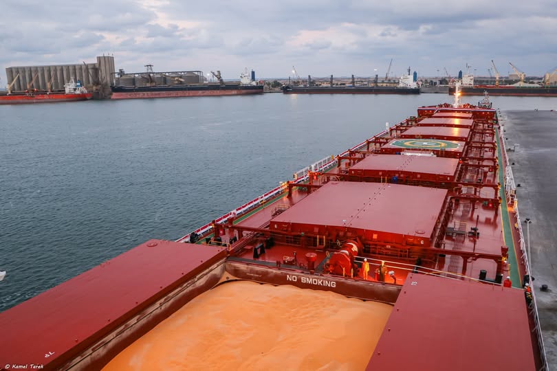 ميناء دمياط يستقبل 29092 طن ذرة خلال 24 ساعة