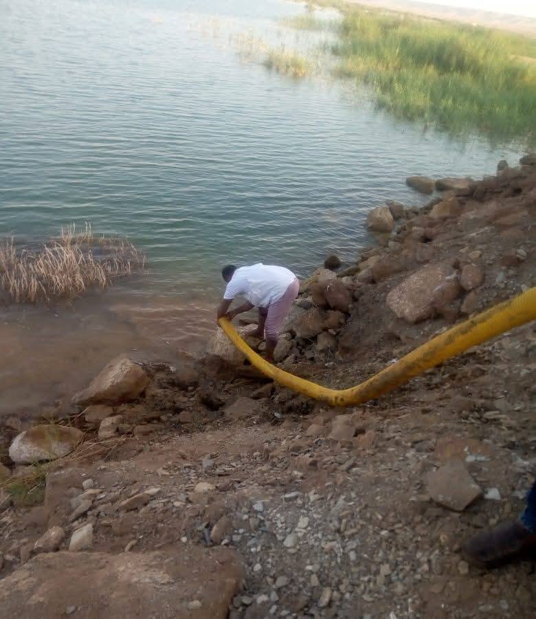 "تنمية البحيرات" يدعم بحيرة باريس بالوادي الجديد بمليون زريعة من أسماك البلطي النيلي