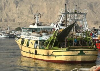 دعما للصيادين.. "تنمية البحيرات" يطلق إشارة السروح لحرفتي الجر و السنار بخليج السويس