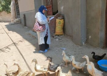 "الزراعة" تستقبل 748 بلاغًا عبر الخط الساخن للخدمات البيطرية خلال أغسطس