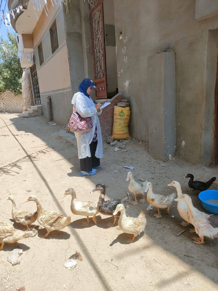 "الزراعة" تستقبل 748 بلاغًا عبر الخط الساخن للخدمات البيطرية خلال أغسطس