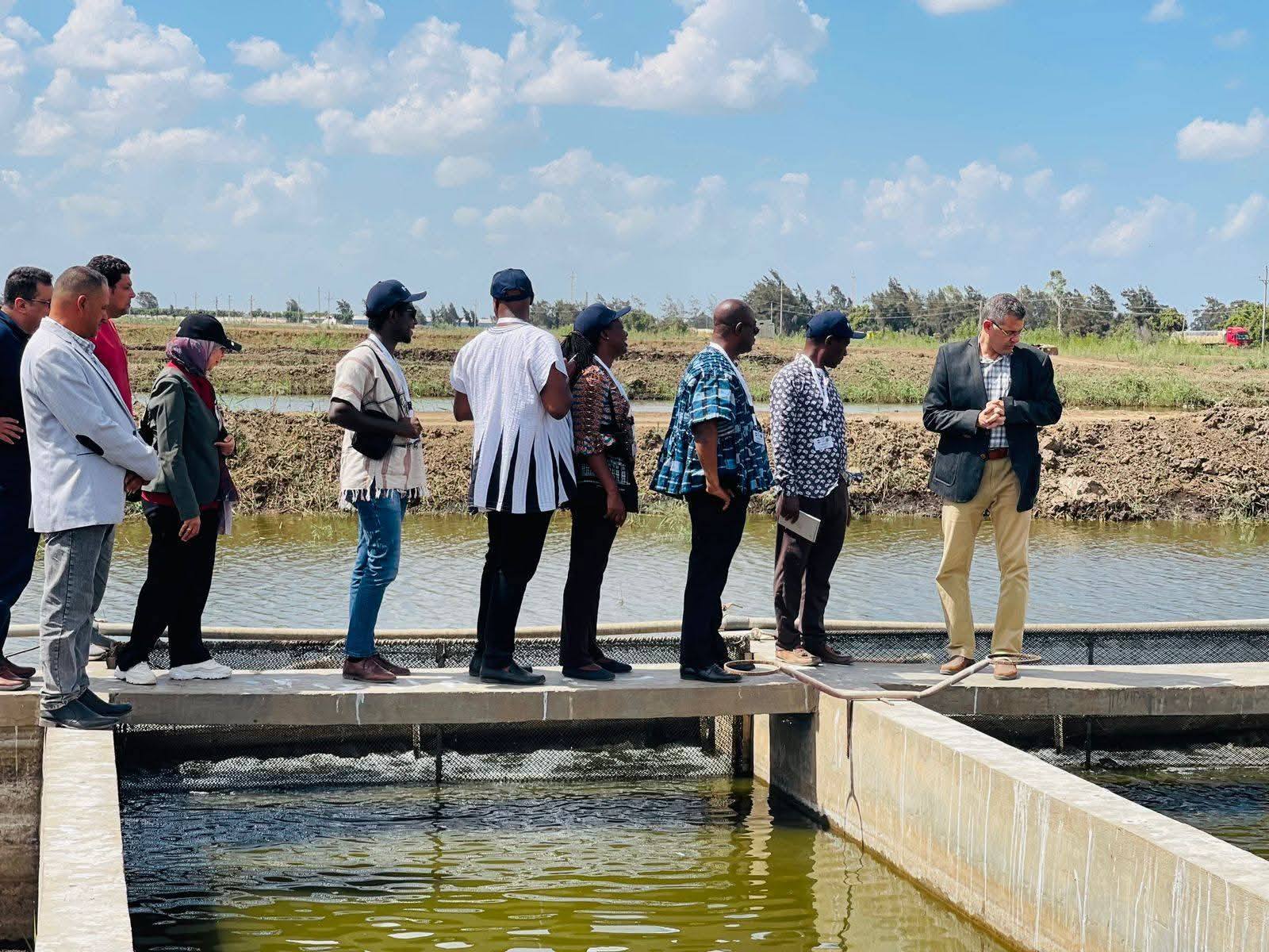 لتعزيز التعاون الإفريقي في الاستزراع السمكي.. مصر تطلق أول برنامج تدريبي دولي بمزرعة الزاوية
