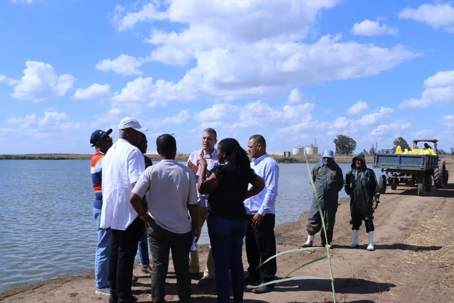 لتعزيز التعاون الإفريقي في الاستزراع السمكي.. مصر تطلق أول برنامج تدريبي دولي بمزرعة الزاوية