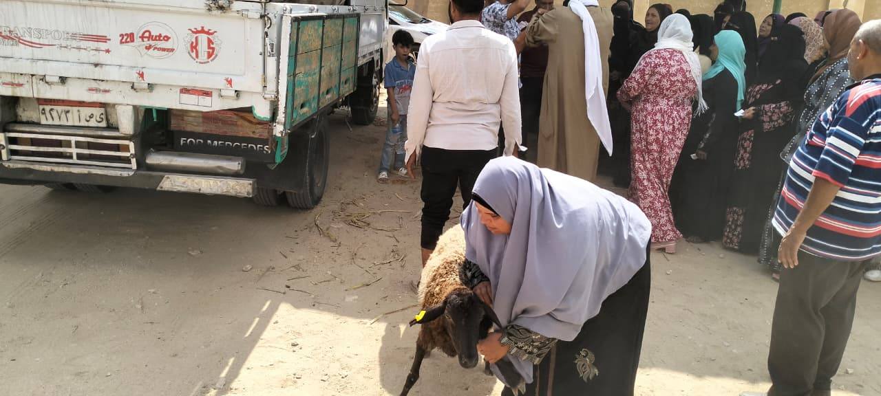 "بحوث الثروة السمكية" و"الدولي للأسماك" ينظمان ورشة عمل حول استخدامات الطاقة المتجددة في الاستزراع السمكي بكفر الشيخ