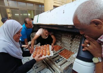 "الزراعة" تطلق 6 منافذ متنقلة لبيع بيض المائدة للمواطنين بأسعار مخفضة في ميادين القاهرة والجيزة