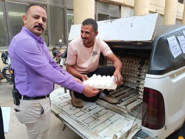 "الزراعة" تطلق 6 منافذ متنقلة لبيع بيض المائدة للمواطنين بأسعار مخفضة في ميادين القاهرة والجيزة