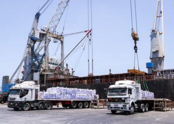 ميناء دمياط يستقبل 45200 طن ذرة و 9123 طن قمح
