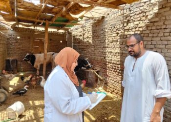 "الخدمات البيطرية" تنفذ أكثر من 8 آلاف زيارة للتقصي النشط خلال أغسطس الماضي