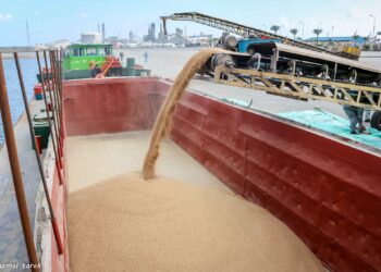ميناء دمياط يستقبل 37691 طن ذرة و 8880 طن قمح