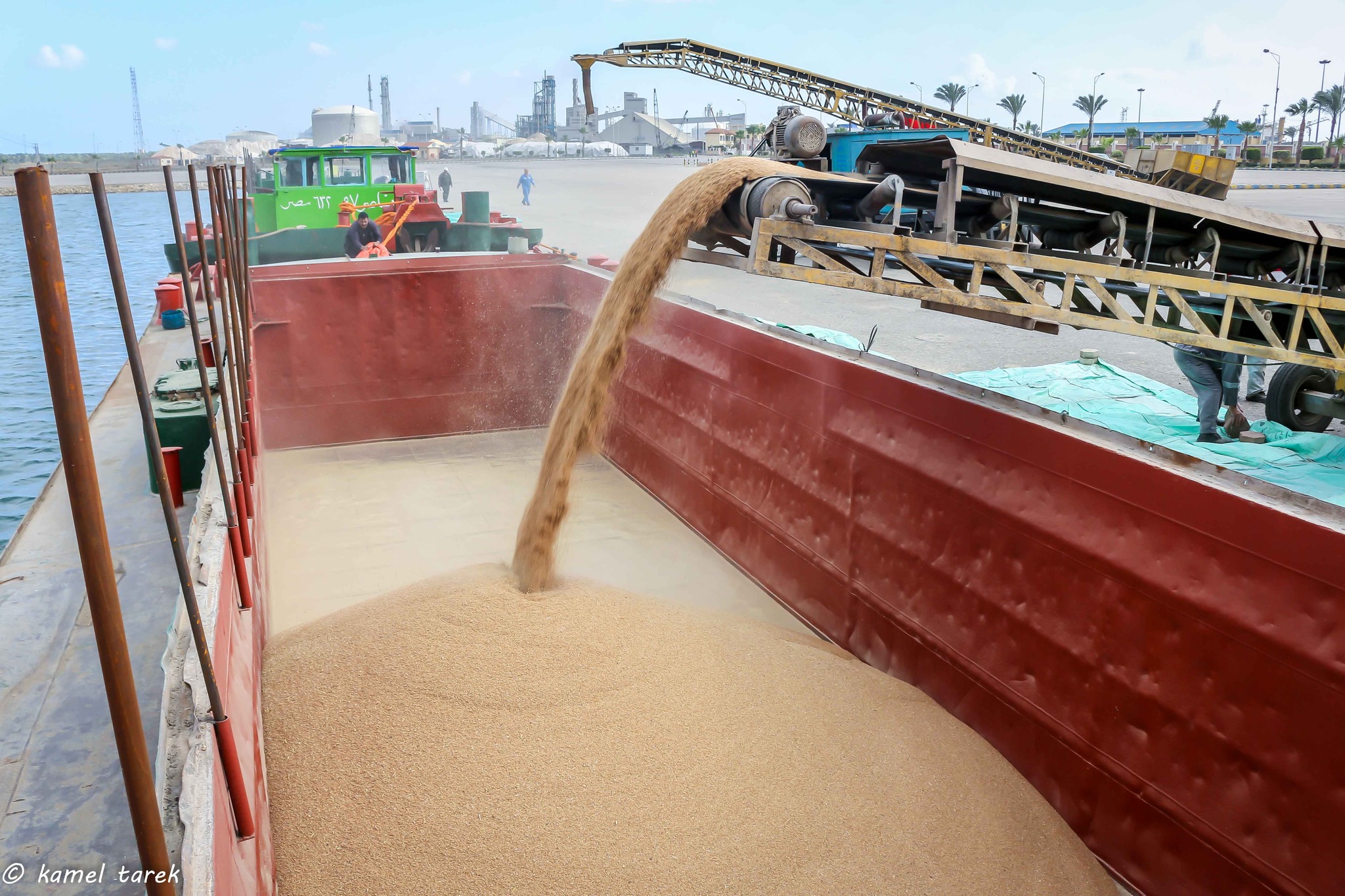 ميناء دمياط يستقبل 37691 طن ذرة و 8880 طن قمح