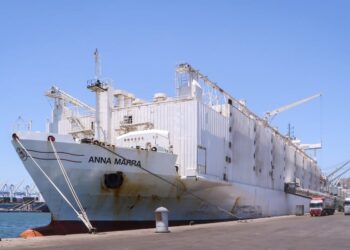 ميناء دمياط يستقبل 24920 طن ذرة و 4906 طن قمح و 2045 رأس ماشية