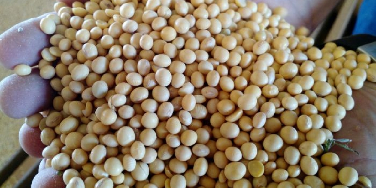 الولايات المتحدة تبيع 327.650 ألف طن من فول الصويا دون الكشف عن وجهتها