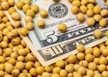 العقود الآجلة لفول الصويا تتكبد خسائر وتغلق تداولات الجمعة في المنطقة الحمراء