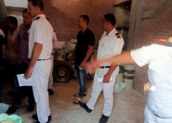 حملات مكثفة لمكافحة الغش والاحتكار في الأعلاف بمحافظة دمياط