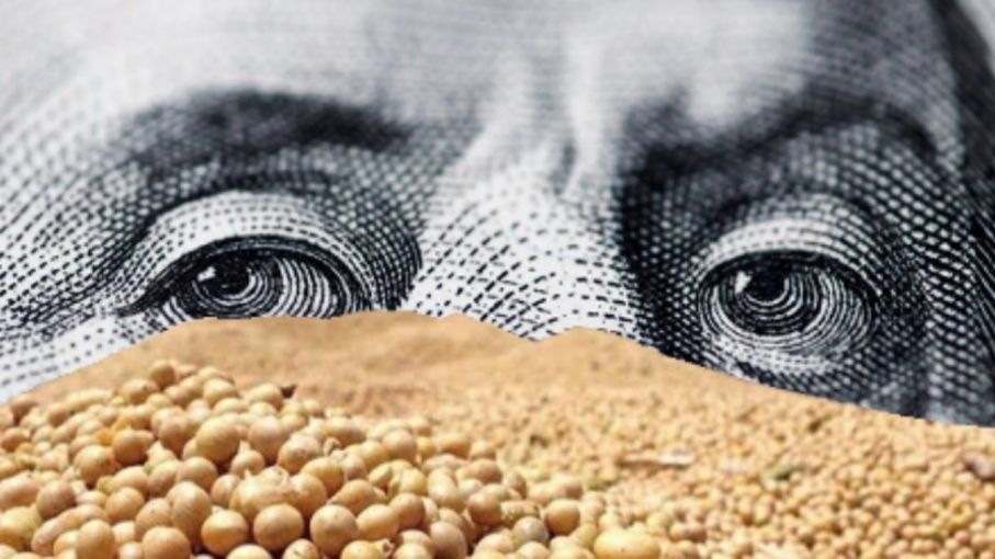 العقود الآجلة لفول الصويا تغلق على انخفاض يوم الاثنين.. متراجعة عن أعلى مستوى خلال أسبوعين