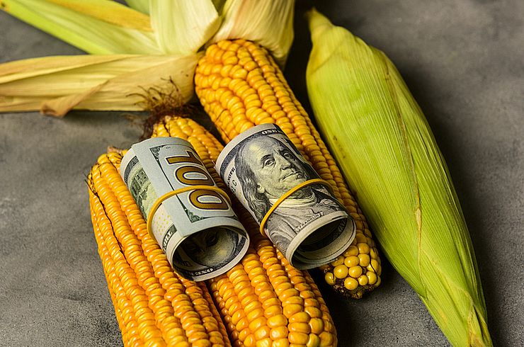 أوكرانيا تتعاقد على بيع 3 ملايين طن من الذرة لشهري أكتوبر ونوفمبر