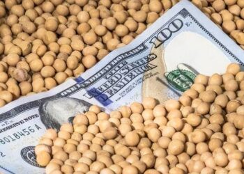 العقود الآجلة لفول الصويا تنخفض إلى أدنى مستوى لها خلال أسبوعين يوم الأربعاء