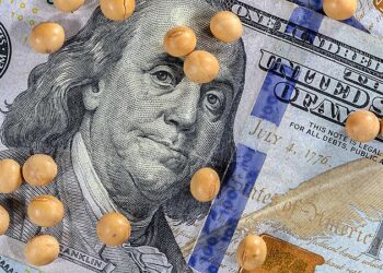 العقود الآجلة لفول الصويا تسجل أعلى مستوى لها في شهرين خلال الأسبوع الماضي