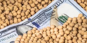 العقود الآجلة لفول الصويا تنخفض إلى أدنى مستوى لها خلال أسبوعين يوم الأربعاء