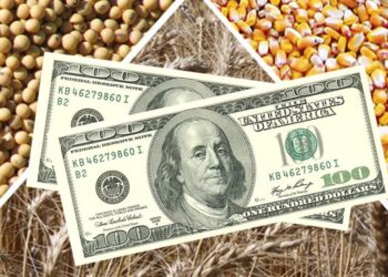 ارتفاع العقود الآجلة لفول الصويا والذرة يوم الجمعة بعد تقرير وزارة الزراعة الأمريكية