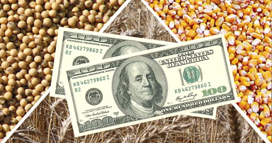 ارتفاع العقود الآجلة لفول الصويا والذرة يوم الجمعة بعد تقرير وزارة الزراعة الأمريكية