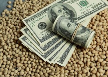 انخفاض العقود الآجلة لفول الصويا في ختام تداولات الثلاثاء وسط انخفاض الصادرات