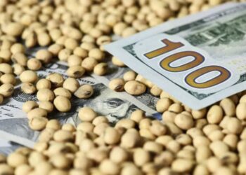 انخفاض العقود الآجلة لفول الصويا يوم الجمعة بفعل ضغط تباطؤ الصادرات على السوق