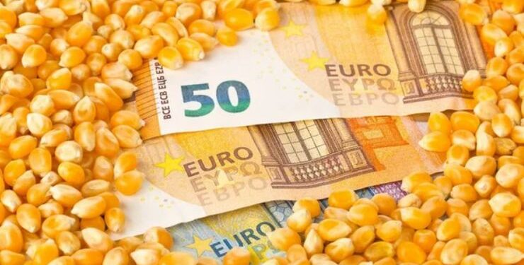 أسعار الذرة الأوكرانية