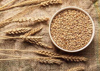 بورصة الحبوب| عقود القمح الآجلة تضعف عند إغلاق تداولات الجمعة