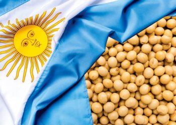 إلغاء الأرجنتين المؤقت للتعريفات الجمركية يزيد الضغط على الأسعار العالمية لفول الصويا