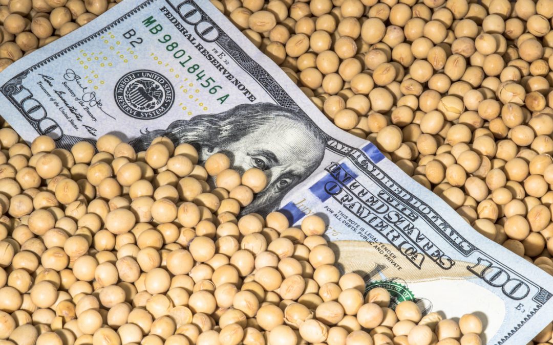 تباطؤ أسواق فول الصويا النقدية في ظل تراجع الطلب الصيني