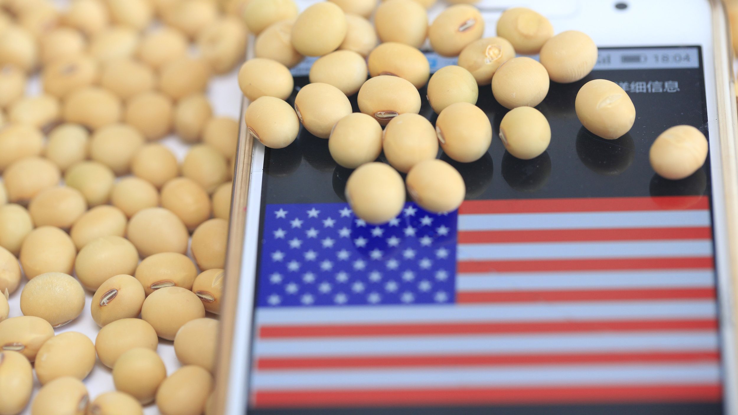 صادرات فول الصويا الأمريكية تنمو على الرغم من غياب المشتريات من الصين