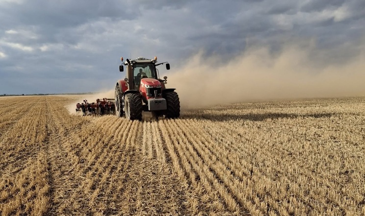 100 مليون طن.. روسيا تحصد 65% من محصول الحبوب
