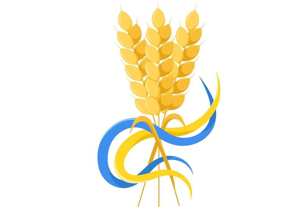 صادرات الحبوب الأوكرانية تسجل 5 ملايين و701 ألف طن منذ بداية الموسم