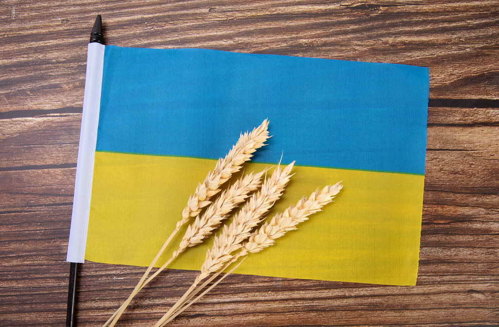 صادرات الحبوب تتراجع بنسبة 43% في موسم 2025-2026