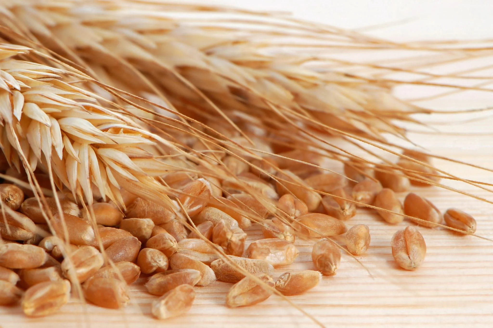 الولايات المتحدة تبيع 305.400 طن من القمح خلال الأسبوع الماضي