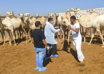 "الزراعة" تواصل جهود الكشف المبكر والسيطرة على الأمراض المشتركة خلال سبتمبر