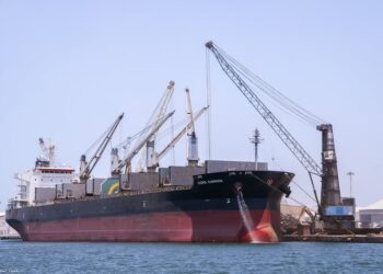 ميناء دمياط يستقبل 5139 طن قمح و 17541 طن ذرة و 2060 رأس ماشية