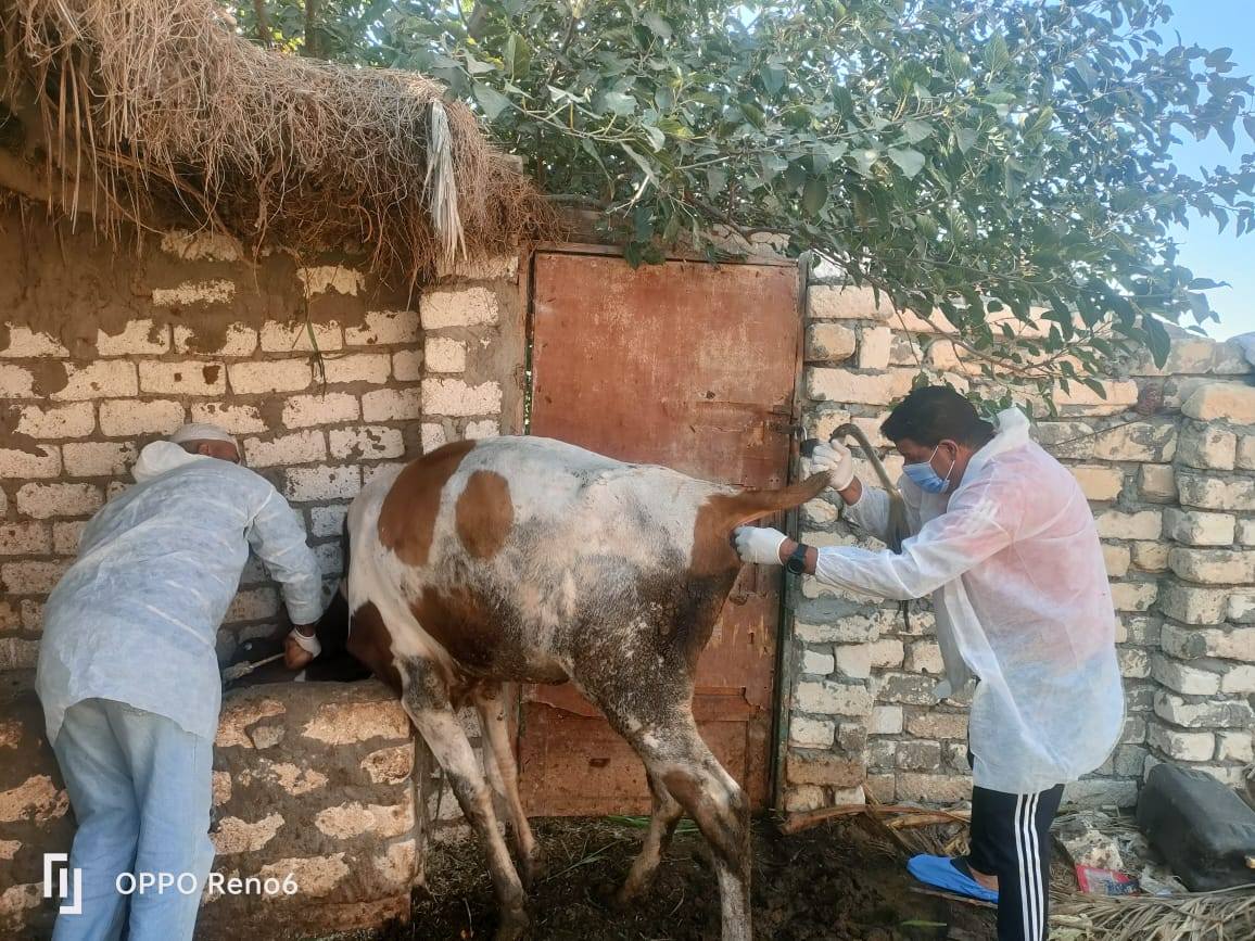 وزارة الزراعة