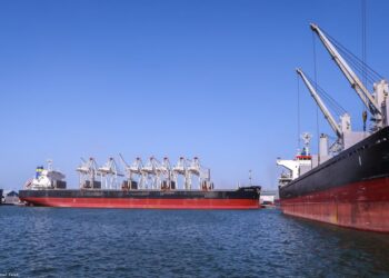 ميناء دمياط يستقبل 10064 طن قمح و 27810 طن ذرة