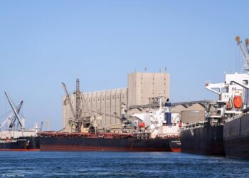 ميناء دمياط يستقبل 29800 طن ذرة و 2700 طن فول صويا و 2706 رأس ماشية