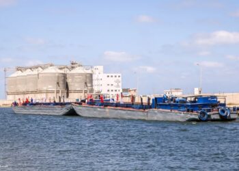 ميناء دمياط يستقبل 12616 طن قمح و 15895 طن ذرة