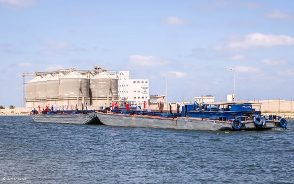 ميناء دمياط يستقبل 12616 طن قمح و 15895 طن ذرة