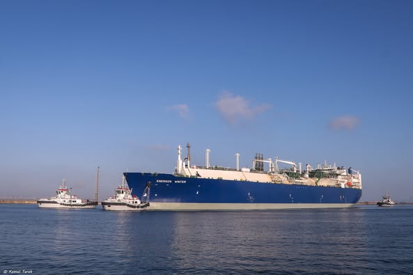 ميناء دمياط يستقبل 25379 طن ذرة و 10546 طن قمح