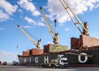 ميناء دمياط يستقبل 10780 طن ذرة و 13490 طن قمح