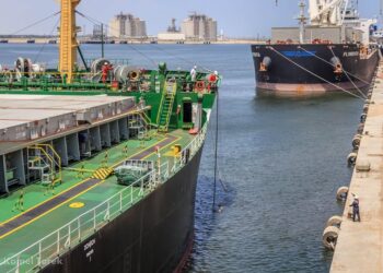 ميناء دمياط يستقبل 15000 طن ذرة و 23000 طن فول صويا و 840 رأس ماشية